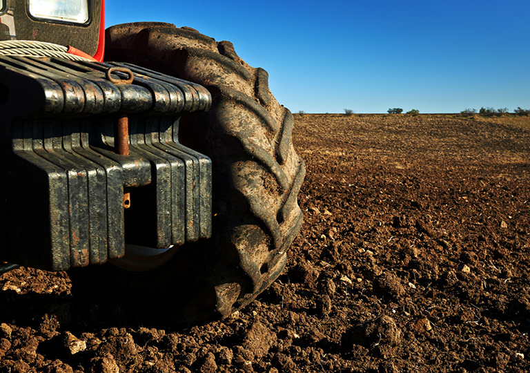 Tractor in field of seeds