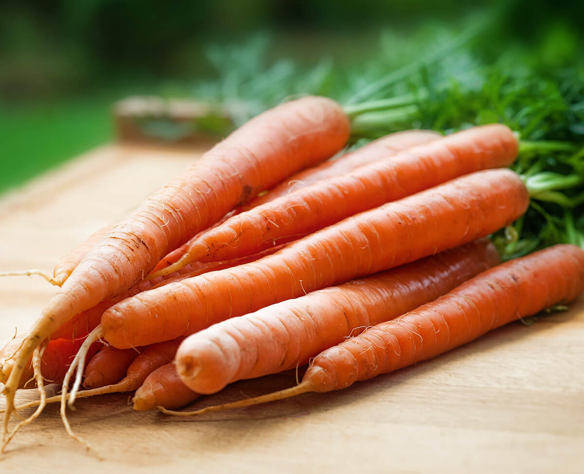 Carrots_web