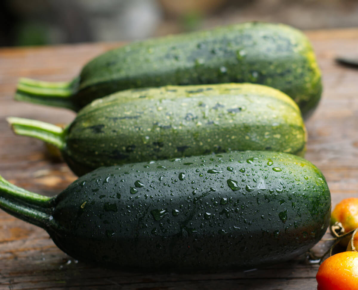 Courgette_web