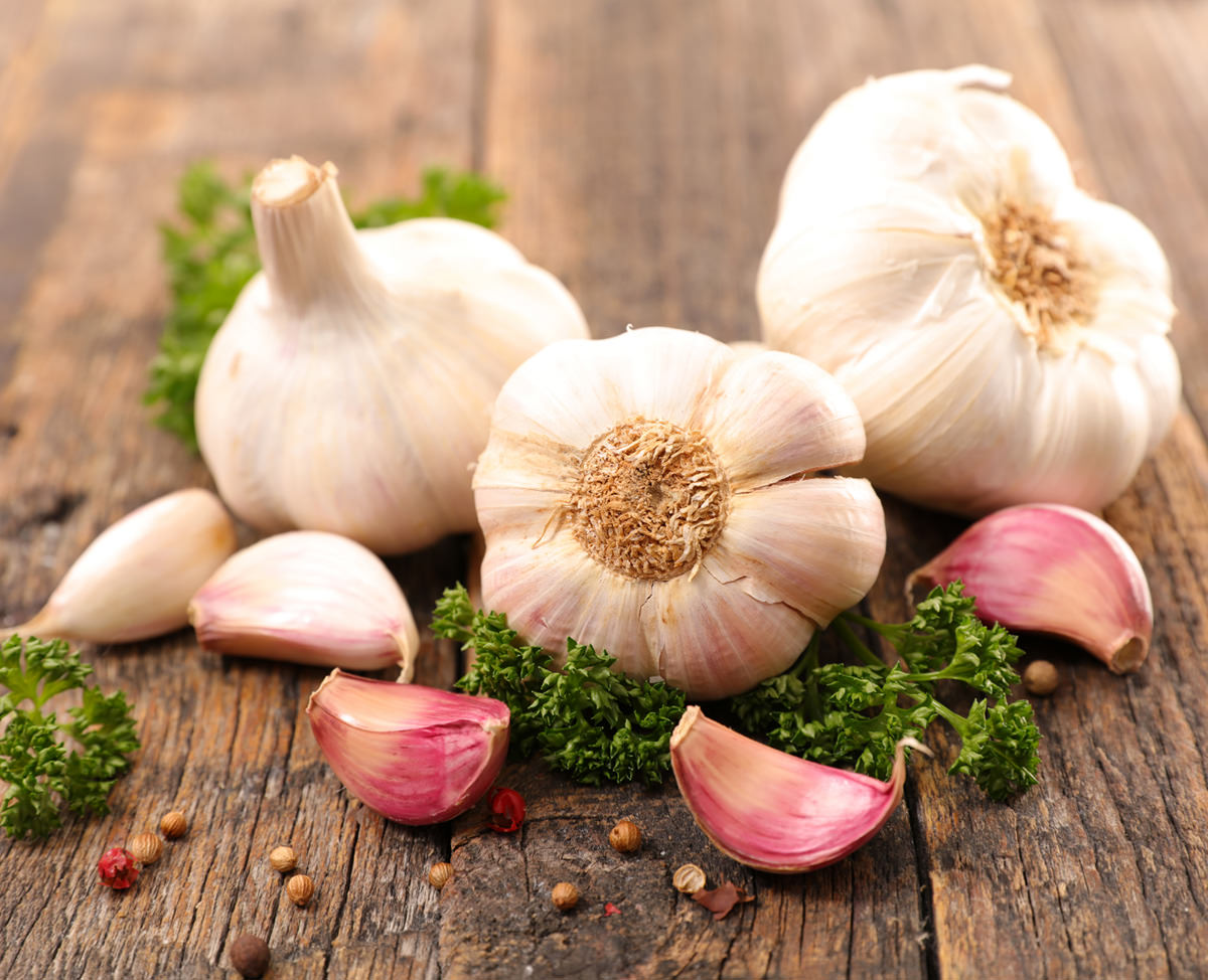 Garlic_web
