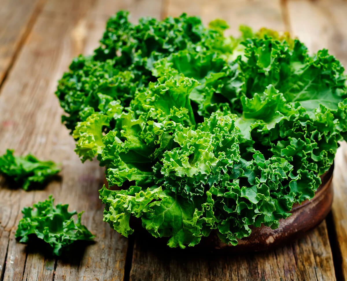 Kale_web