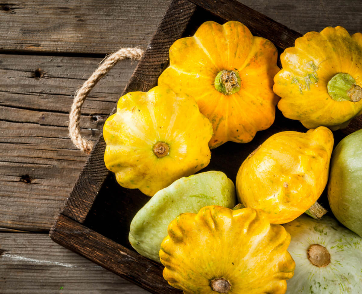 Patty-Pan_web