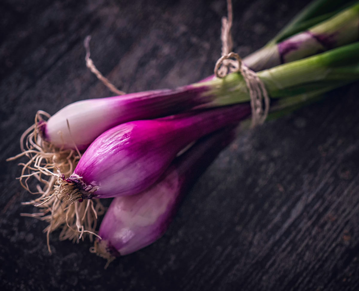 Spring-onion_web