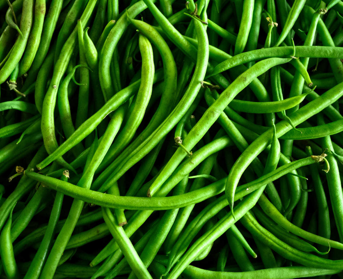 String-beans_web