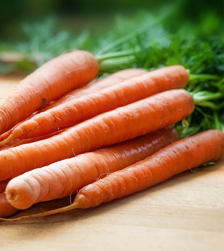 carrot card