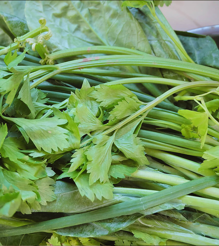 chinese celery